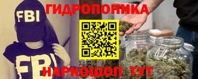МДМА Можга