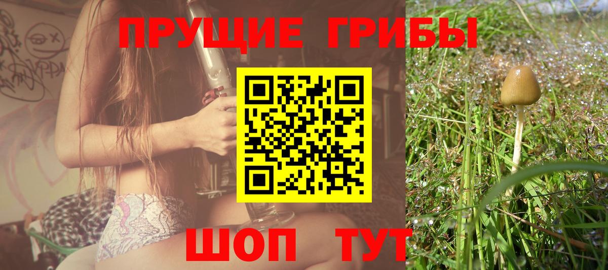 Псилоцибиновые грибы Cubensis Шатура
