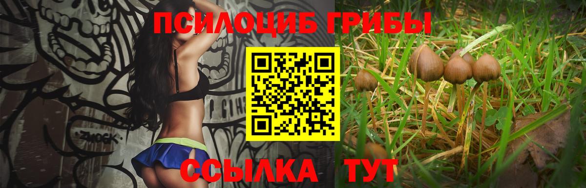 Шатура  Галлюциногенные грибы мицелий  Вход с VPN  Галлюциногенные грибы GOLDEN TEACHER 